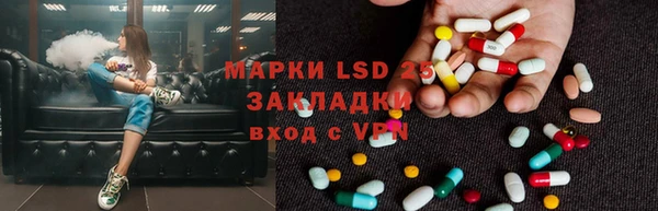 молекула духа Карпинск