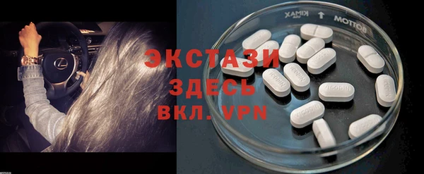 молекула духа Карпинск