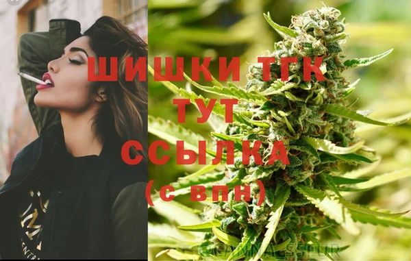 СК Каменск-Шахтинский